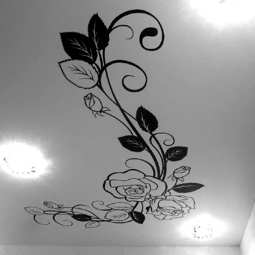 Фотопечать на потолках